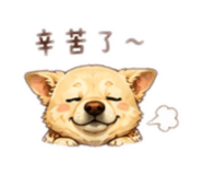 853507431