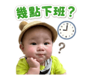 853507981