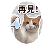 853509620