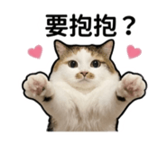 853512567