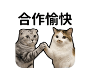 853512572