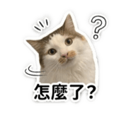 853512575