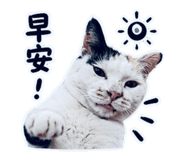 853514505