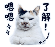 853514509