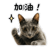 853514516