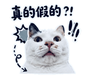 853514517