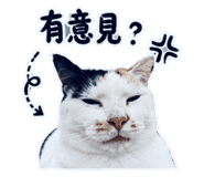 853514527