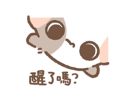 853514716