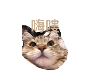 853514985