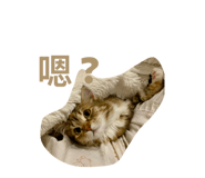 853514992