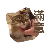 853514997