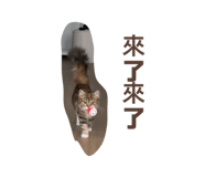 853514999
