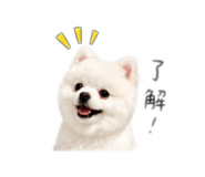 853515020