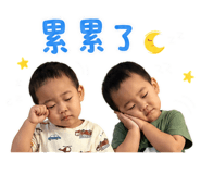 853516652