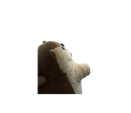 853517342