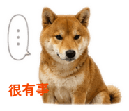 853521050