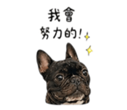 853522200