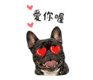 853522207