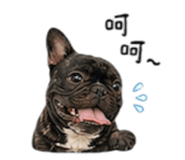 853522214