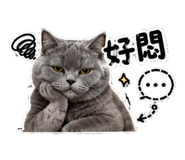 853522982