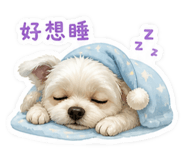 853523363