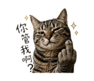 853523962