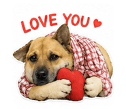 853524294