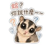 853526603