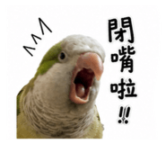 853527250