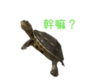 853528459