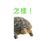 853528461