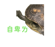 853528465