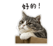 853528555