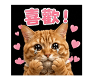 853528930
