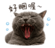 853529771