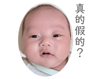 853531127