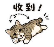 853531825