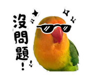 853533715