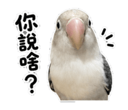 853533717