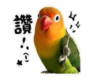 853533719