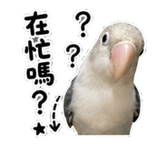 853533720