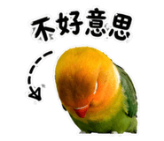 853533722