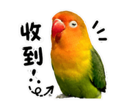 853533723