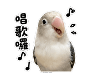 853533724
