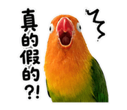 853533727