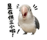 853533729