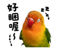 853533730