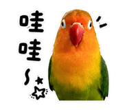 853533732
