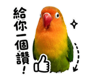 853533736