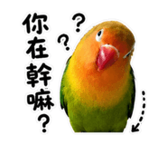 853533738